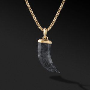 Black Labradorite Claw Necklace Mens 925 Sterling Silver Titanium FREE SHIPPING!